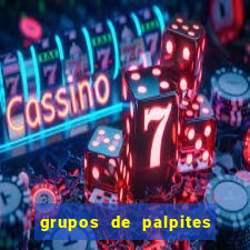 grupos de palpites de futebol whatsapp